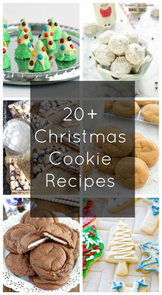 20+ Christmas Cookie Recipes