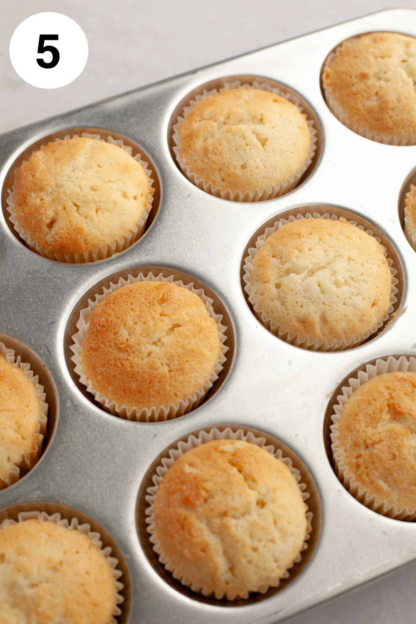 Baked, unfrosted coconut cupcakes in a cupcake pan. 