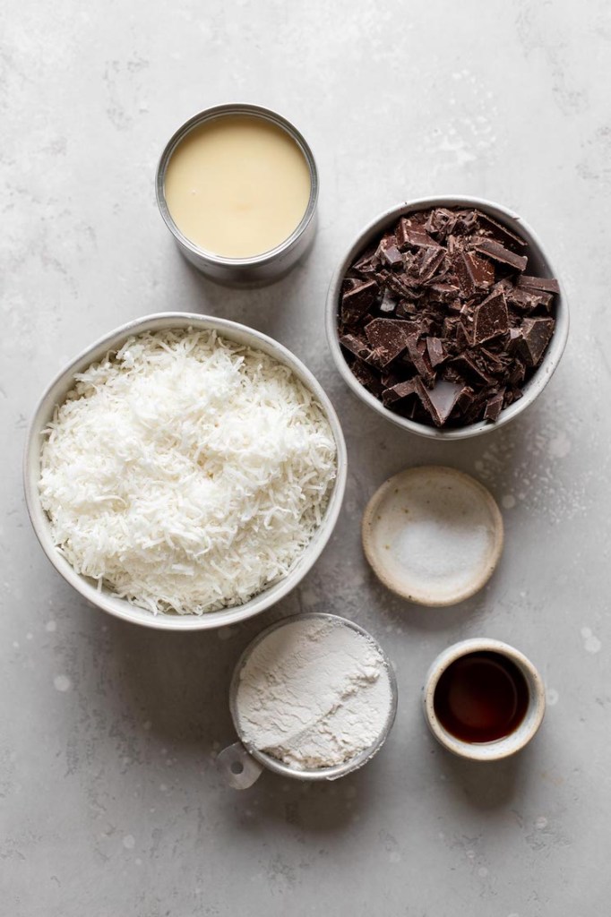 Overhead view of the ingredients needed to make coconut macaroons with sweetened condensed milk. 