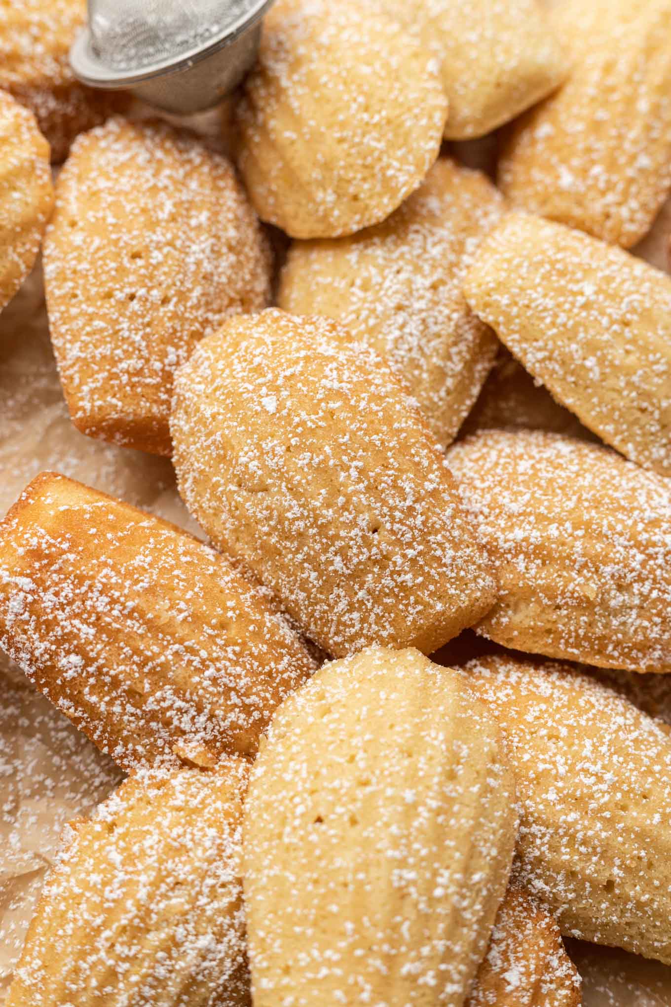 French madeleines dusted with powdered sugar. 