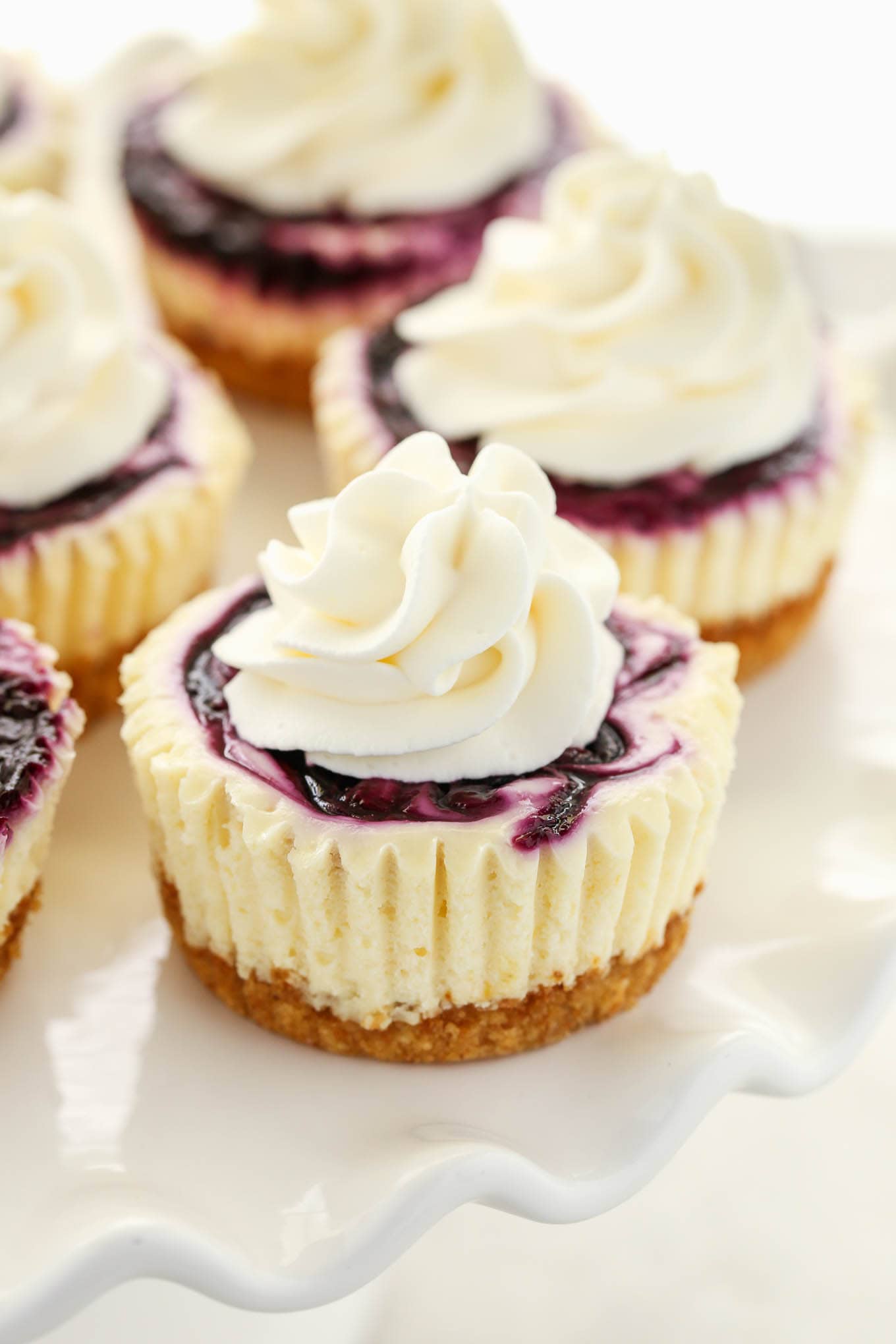 Close up view of mini blueberry cheesecake bites topped with whipped cream on a white cake stand. 