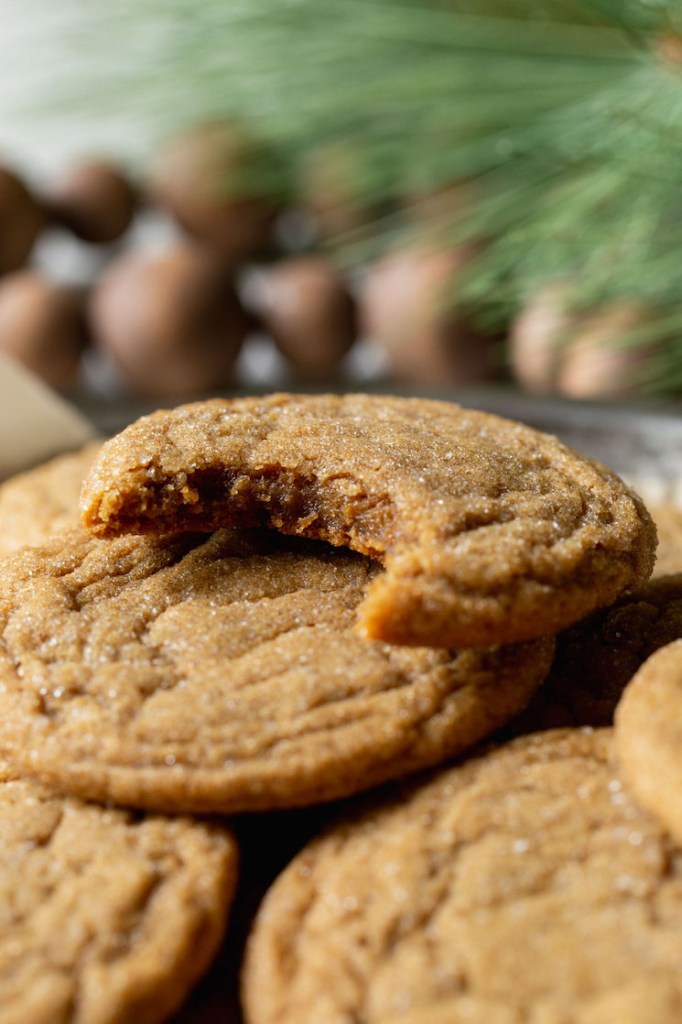 A stack of molasses cookies with the top one having a bite taken out.