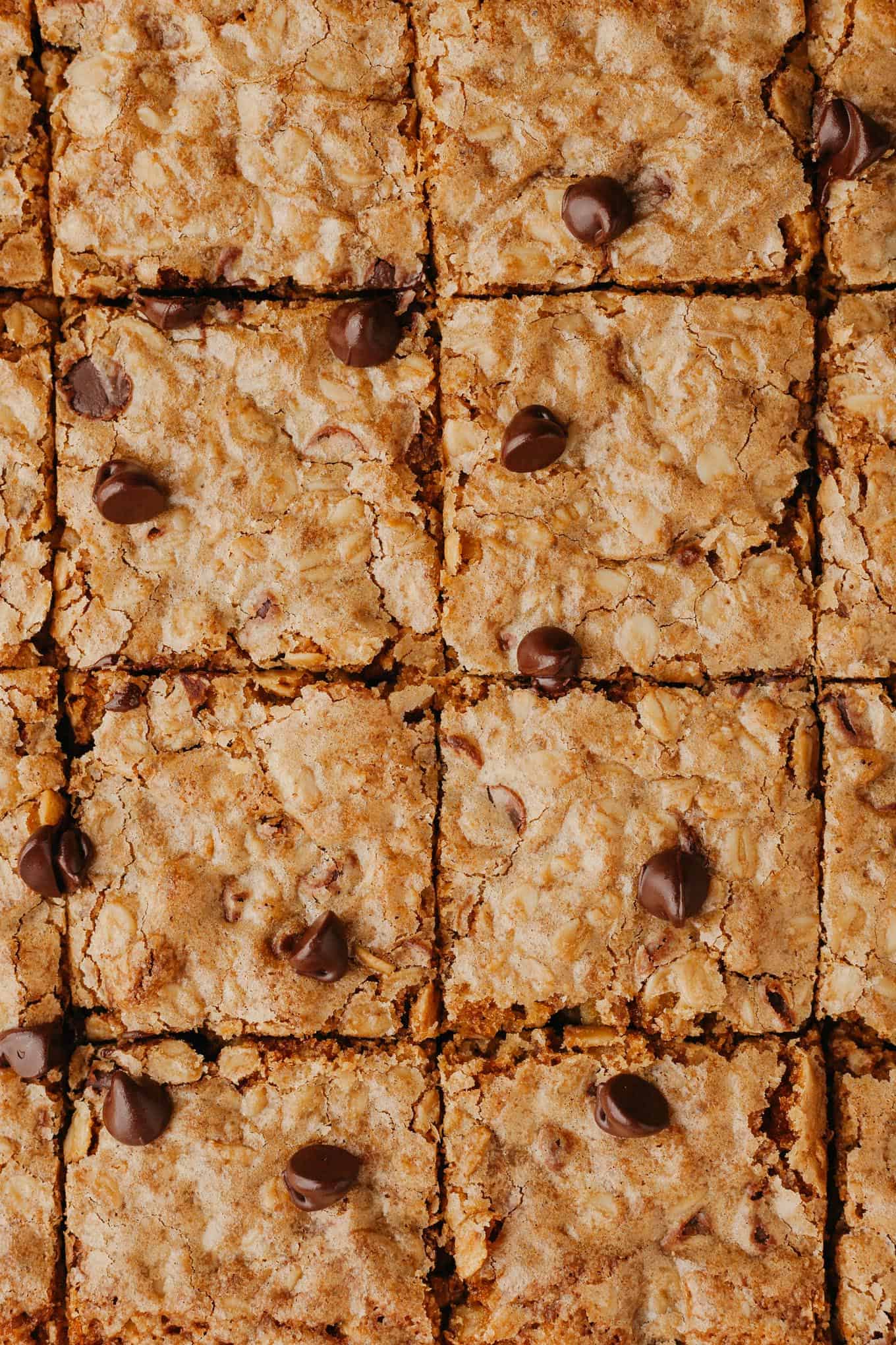 A close-up, overhead view of sliced oatmeal cookie bars still in the pan. 