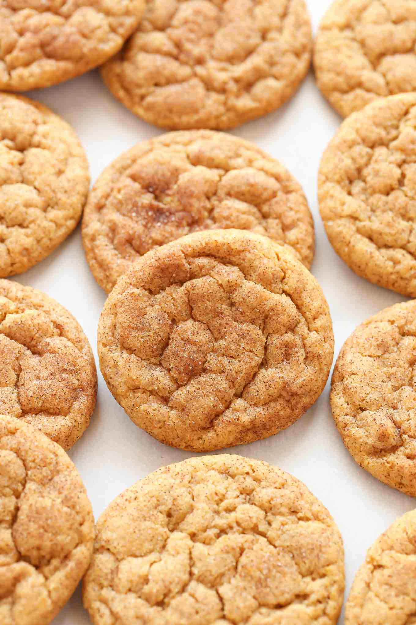 Several pumpkin snickerdoodles on a piece of white parchment paper.