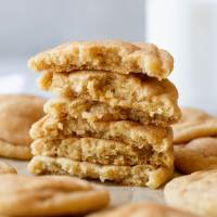 A stack of snickerdoodle cookies broken in half to show the interior texture.